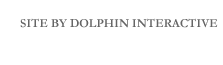 dolphin interactive