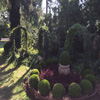 Homestead Inn Pictures