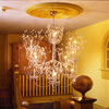 Homestead Inn Pictures