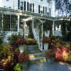 Luxury Inn | Boutique Hotel | Image of Luxury Inn with beautiful garden patio and dining