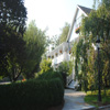 Luxury Inn | Boutique Hotel | Image of Luxury Inn with beautiful in bloom