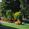 Luxury Inn | Boutique Hotel | Image of Luxury Inn with beautiful garden lined path