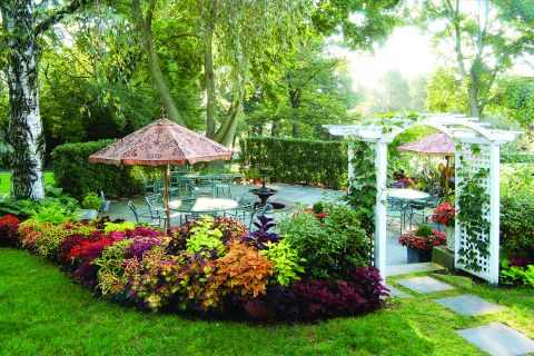 A Couple Of Lawn Chairs Sitting On Top Of A Flower Garden